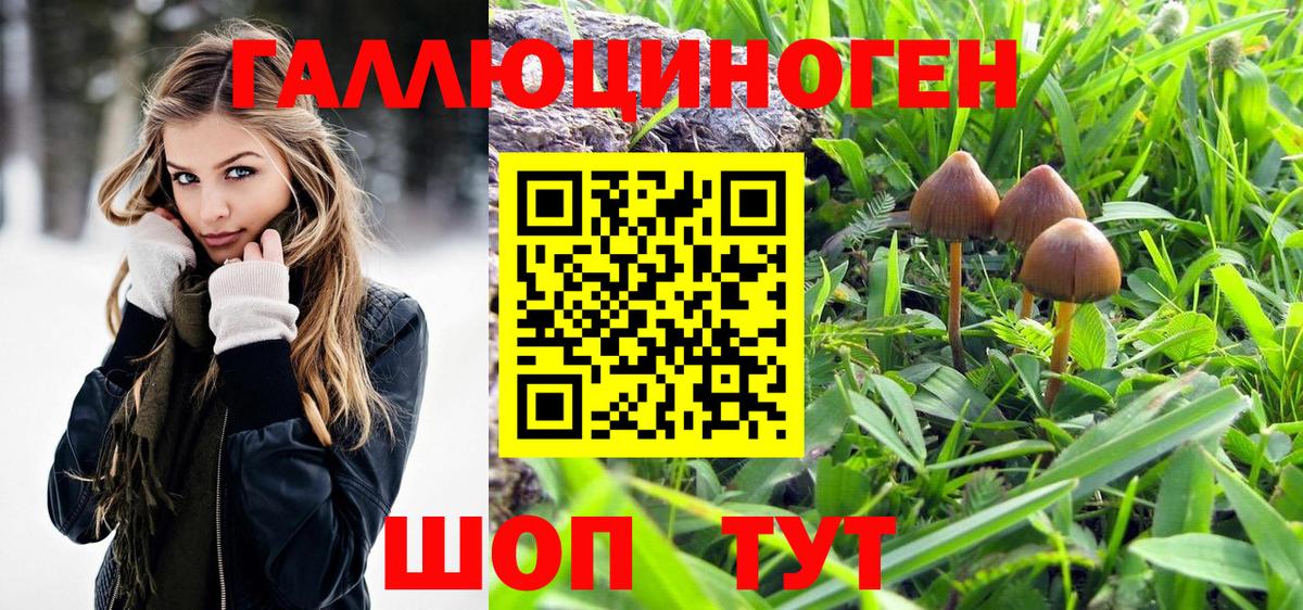 Галлюциногенные грибы прущие грибы Кушва
